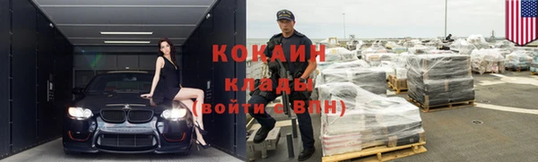 прущие грибы Пролетарск