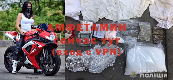 прущие грибы Пролетарск
