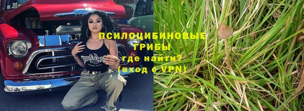хмурый Лиски