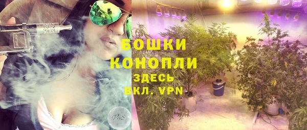 прущие грибы Пролетарск