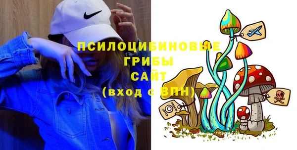 прущие грибы Пролетарск