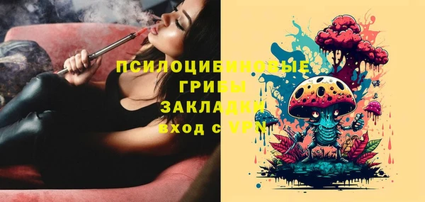 не бодяженный Абаза