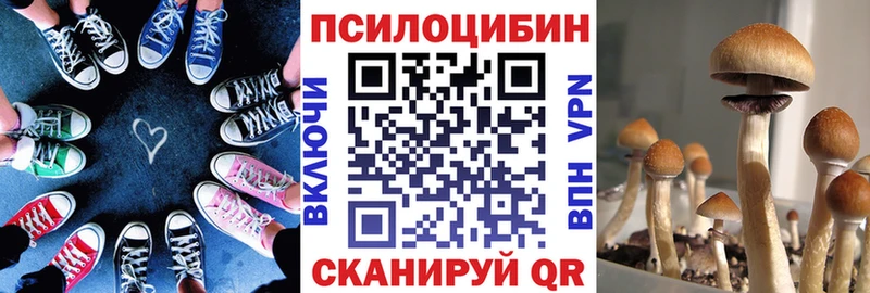KRAKEN ссылка где продают Кушва Псилоцибиновые грибы GOLDEN TEACHER