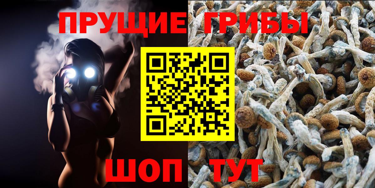 Псилоцибиновые грибы Magic Shrooms  Псилоцибиновые грибы Psilocybine cubensis  Кушва 