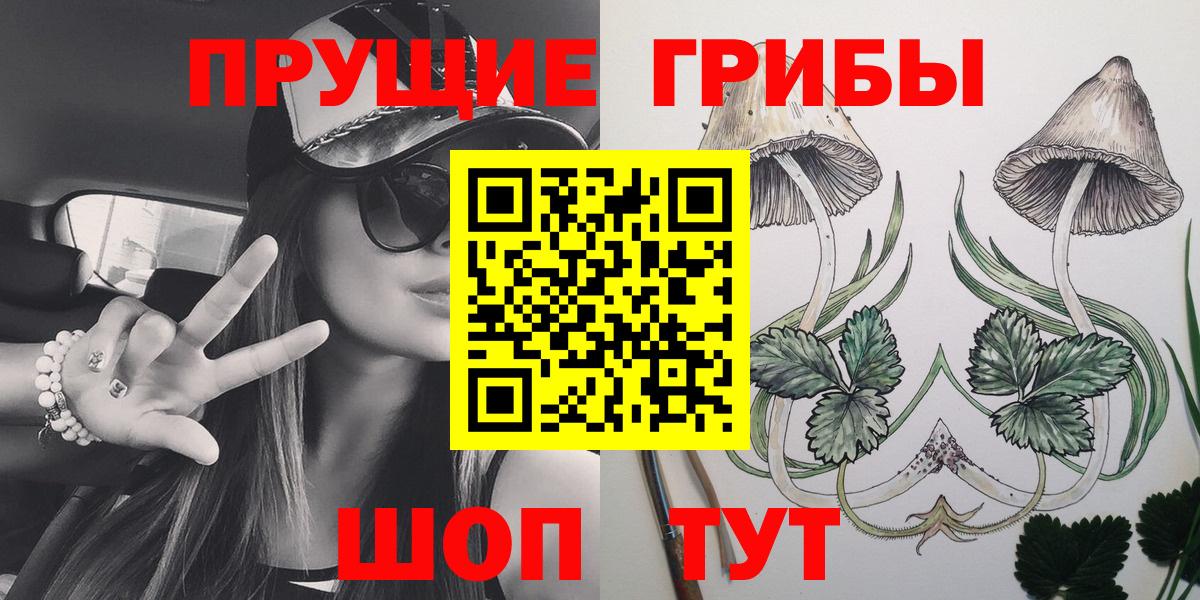 Псилоцибиновые грибы прущие грибы Кушва