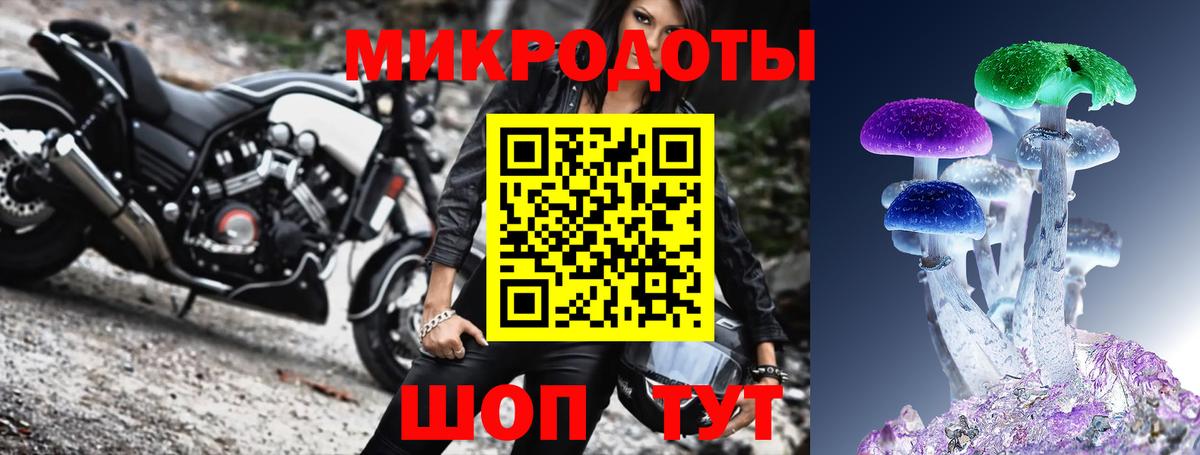 Псилоцибиновые грибы GOLDEN TEACHER Кушва